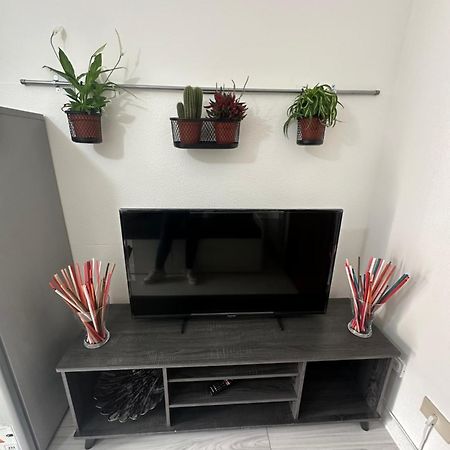 B&B Luna Rosa Пиза Екстериор снимка